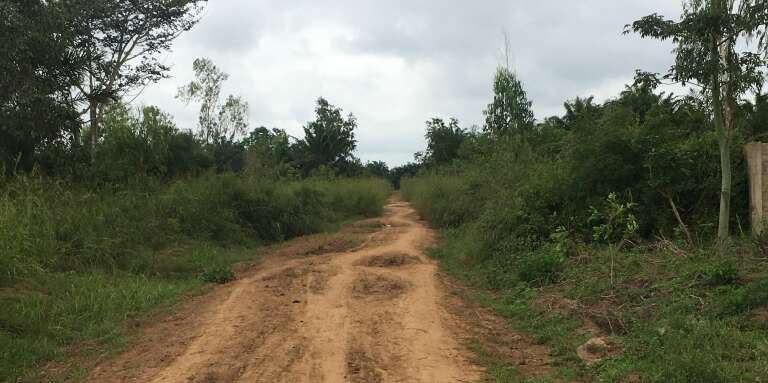 La route des esclaves du Bénin, une vingtaine de kilomètres après Abomey.