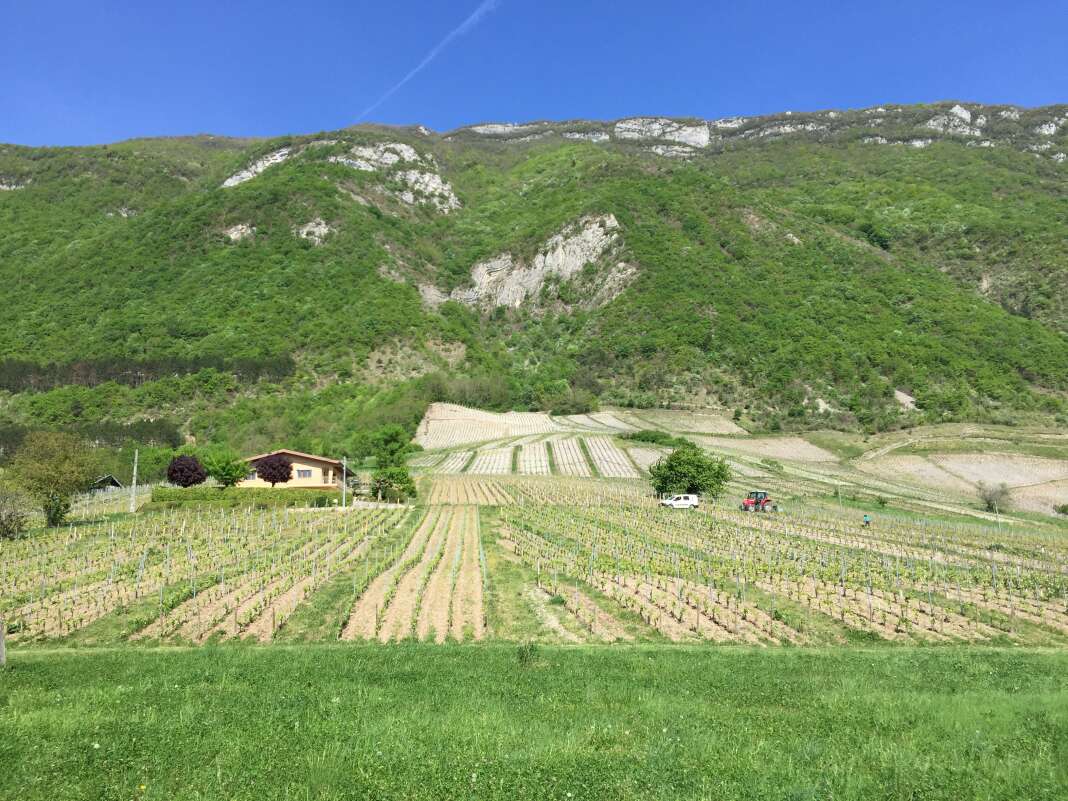 Les vignes de Chignin, en Savoie.