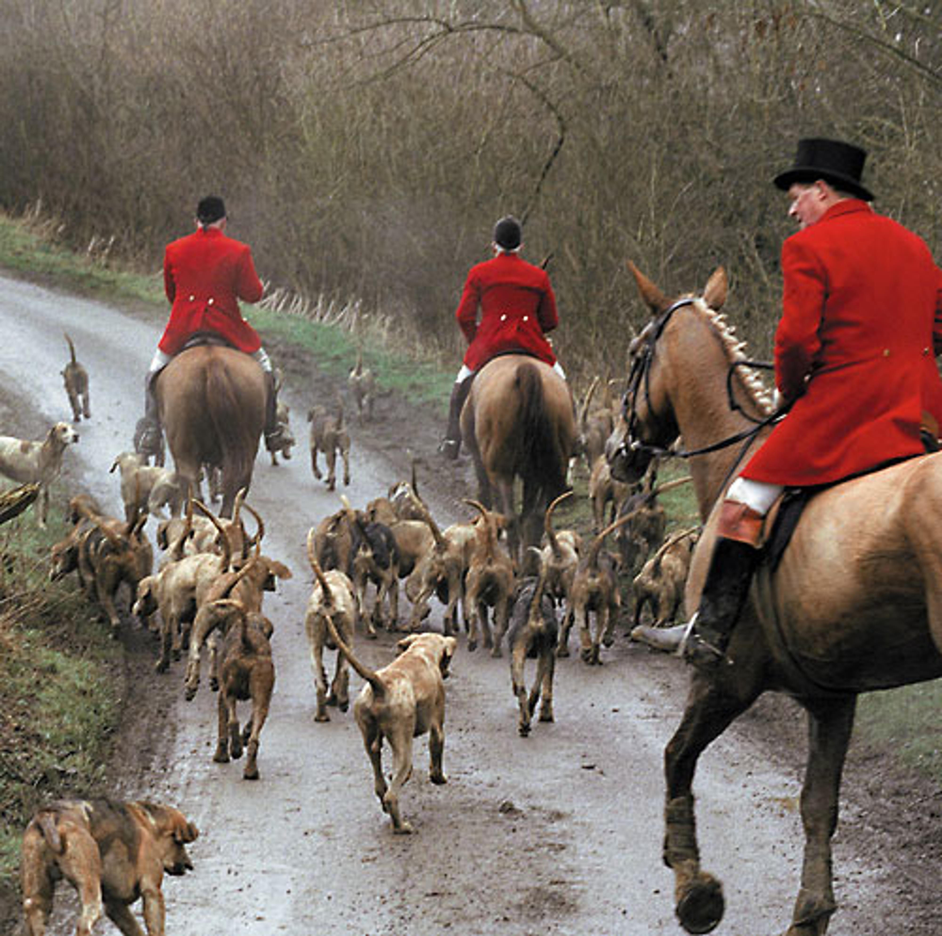 Un rassemblement contre la chasse à courre organisé à Rambouillet - L'Écho Républicain