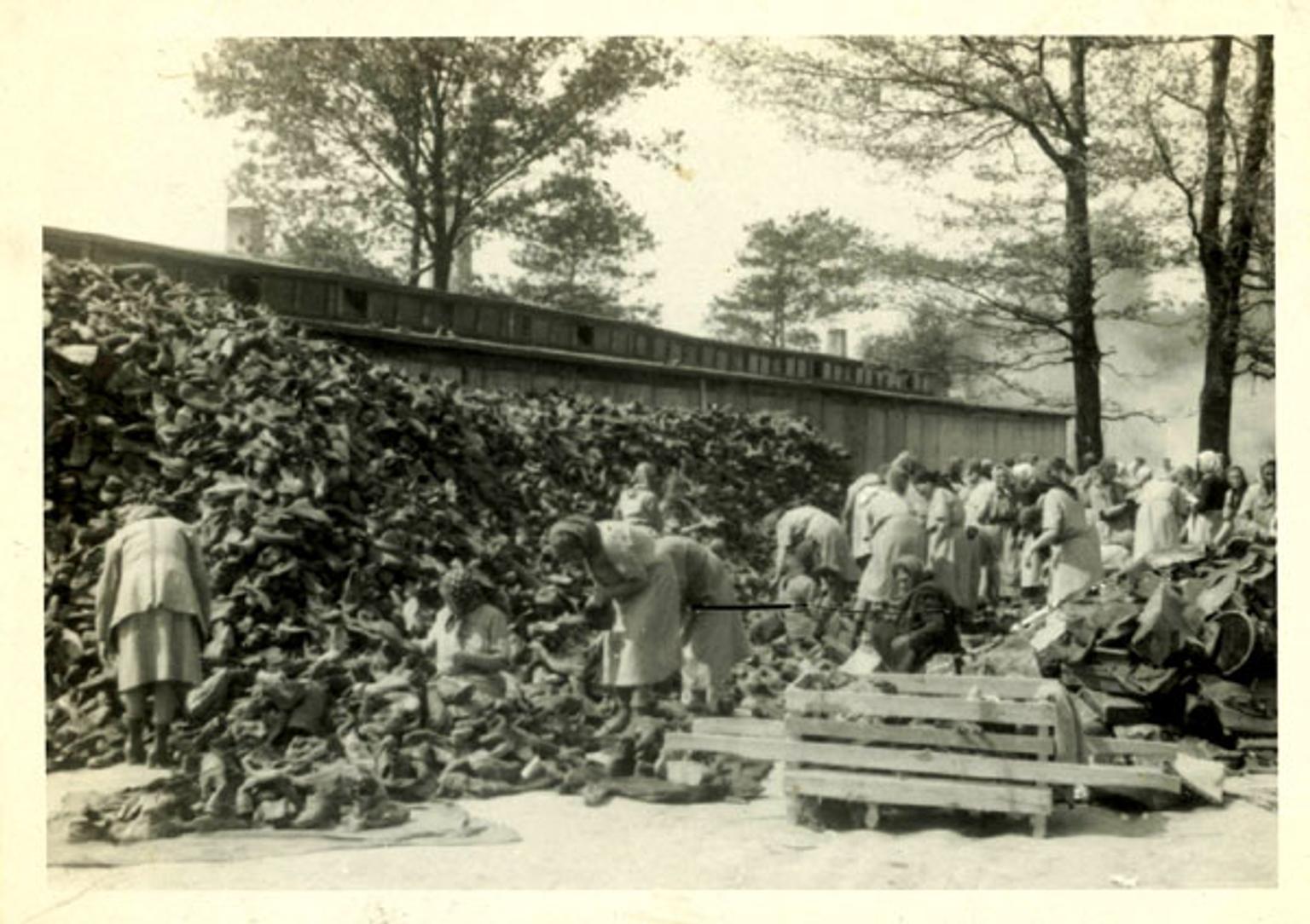 Comment Les Déportés Sont Ils Acheminés à Auschwitz