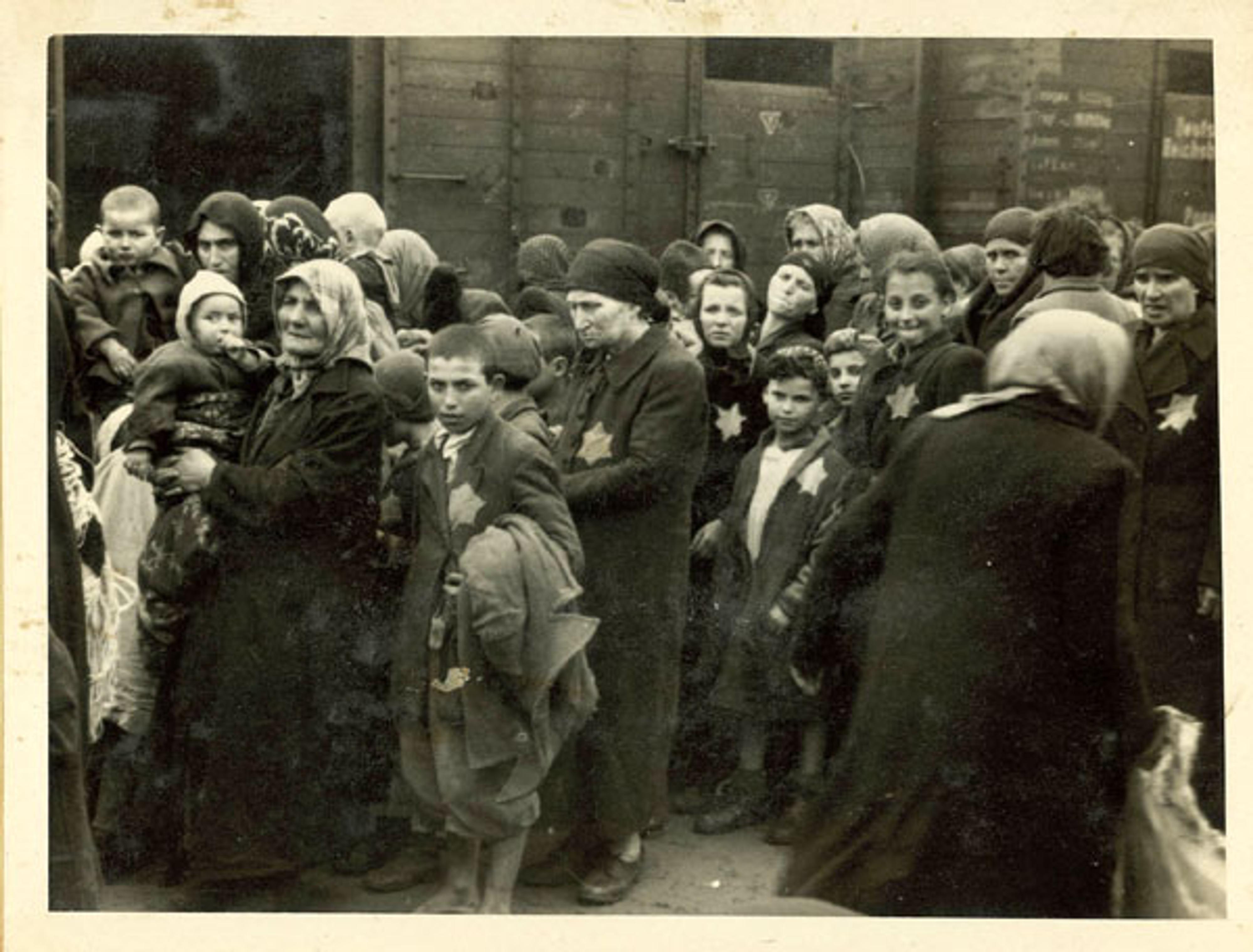 L'Album d'Auschwitz