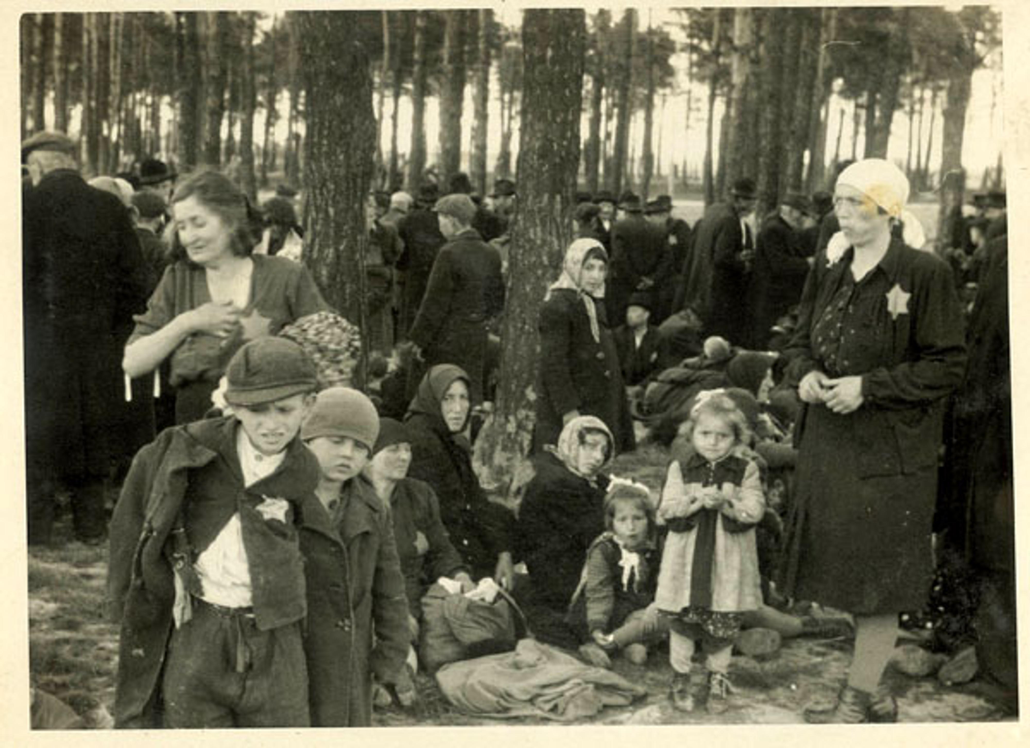 Comment Les Déportés Sont Ils Acheminés à Auschwitz