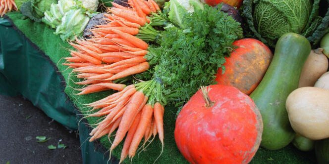 Des légumes provenant de l'agriculture biologique.