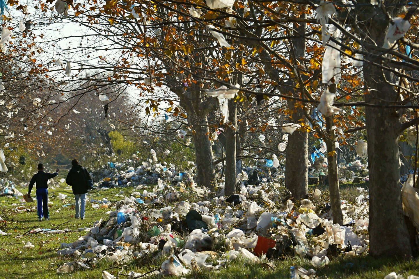 Bannir les sacs de plastique : efficace pour l'environnement ? Ça dépend