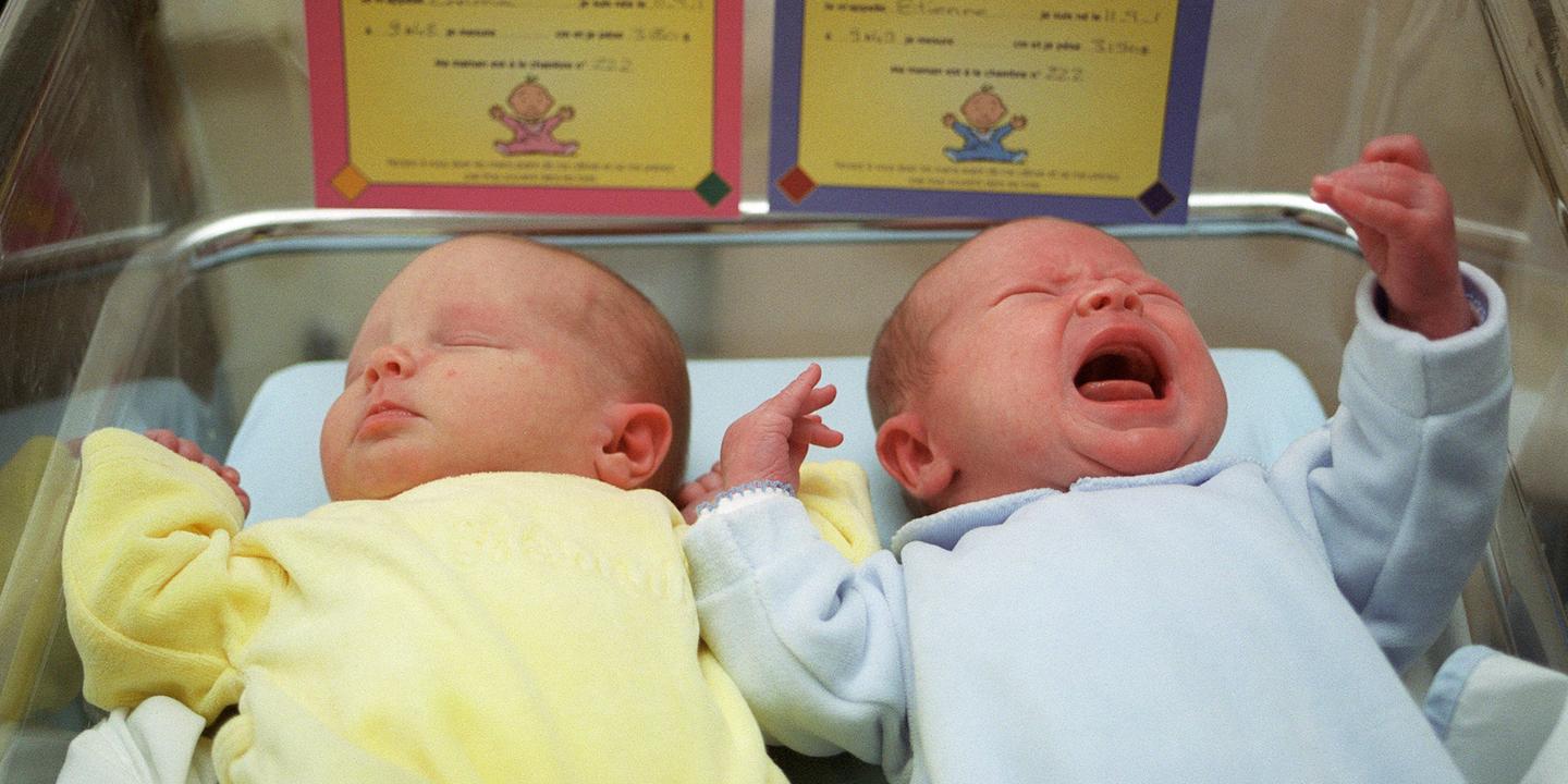 La découverte de vrais faux jumeaux ébranle certains acquis en matière