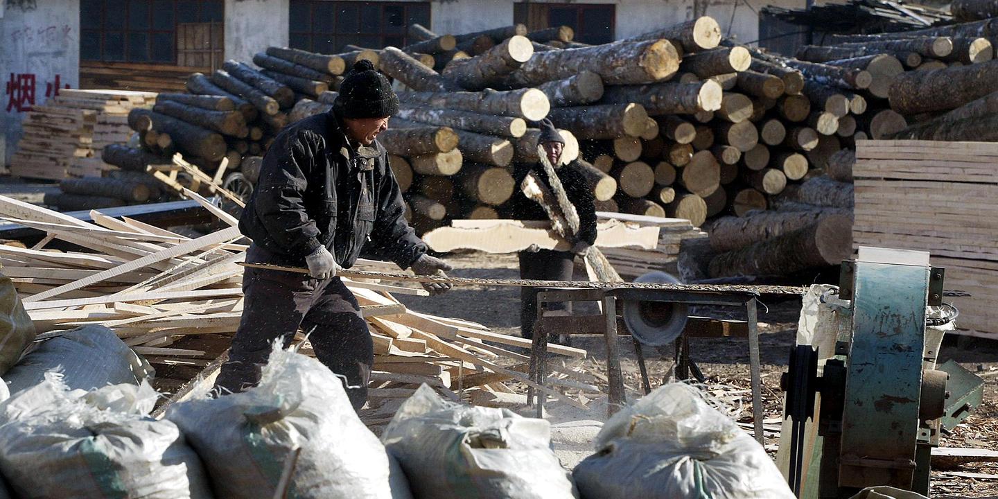 La Chine est devenue le premier exportateur de bois transformé