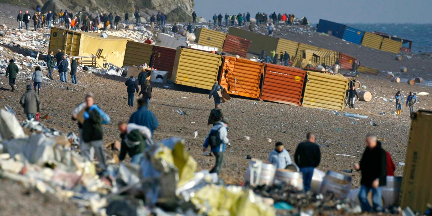 Algues Varech échoué Sur Une Plage Côte Ouest Nouvelle