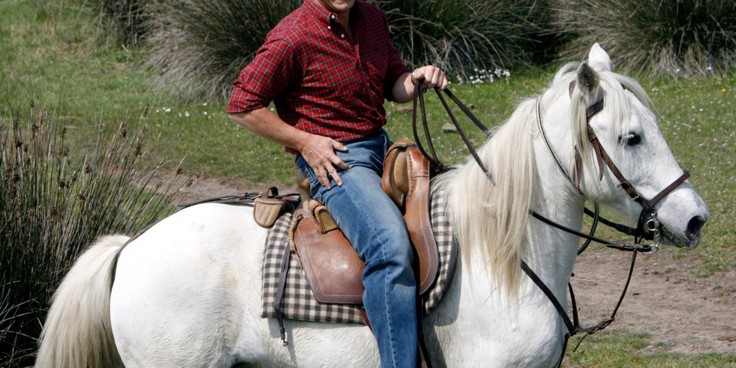 Le Candidat Sur Le Cheval Univers Et La Presse En Charrette Pour Une Balade En Camargue