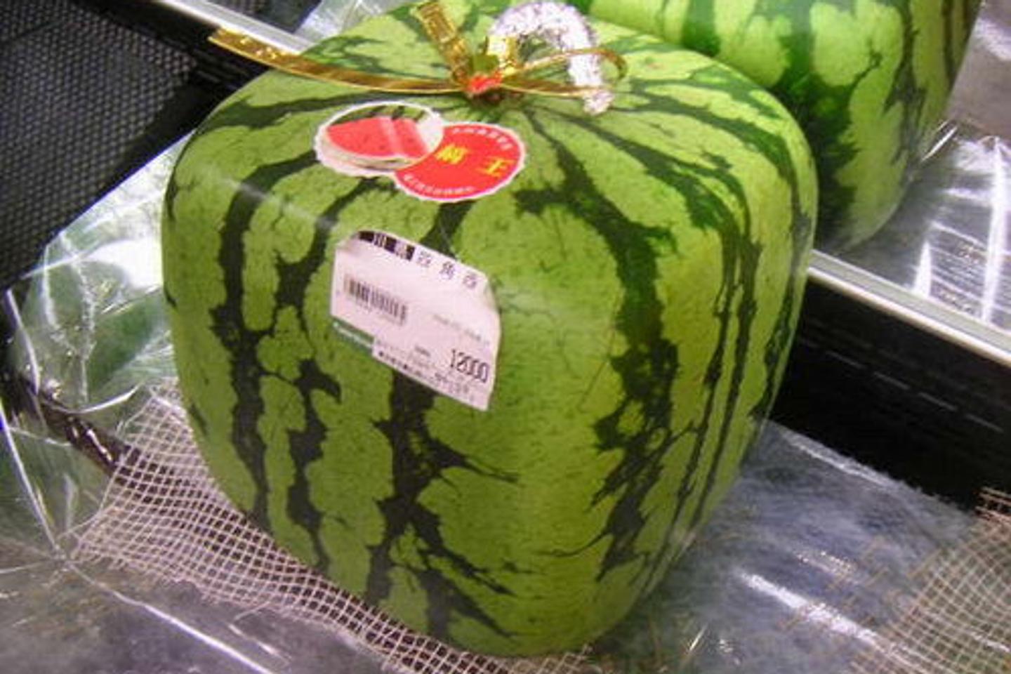 pastèques pyramidales