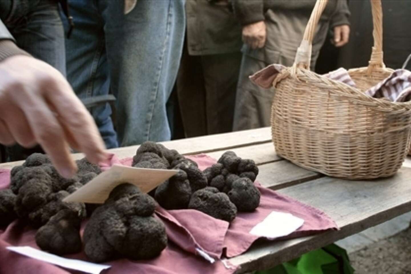 Les truffes noires du Périgord connaissent une baisse de qualité, météo  oblige – L'Express