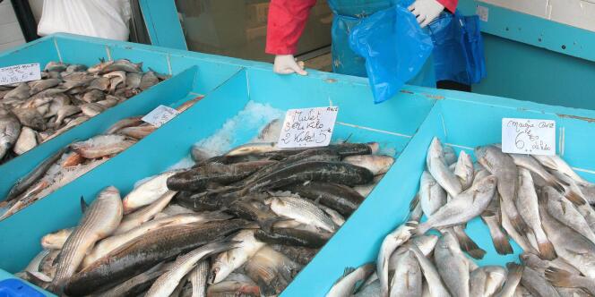 La France importe 62 % de sa consommation de produits de la mer.