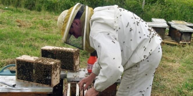 Un apiculteur à Saint-Laurent-de-la-Salle (Vendée), le 25 janvier 2008.