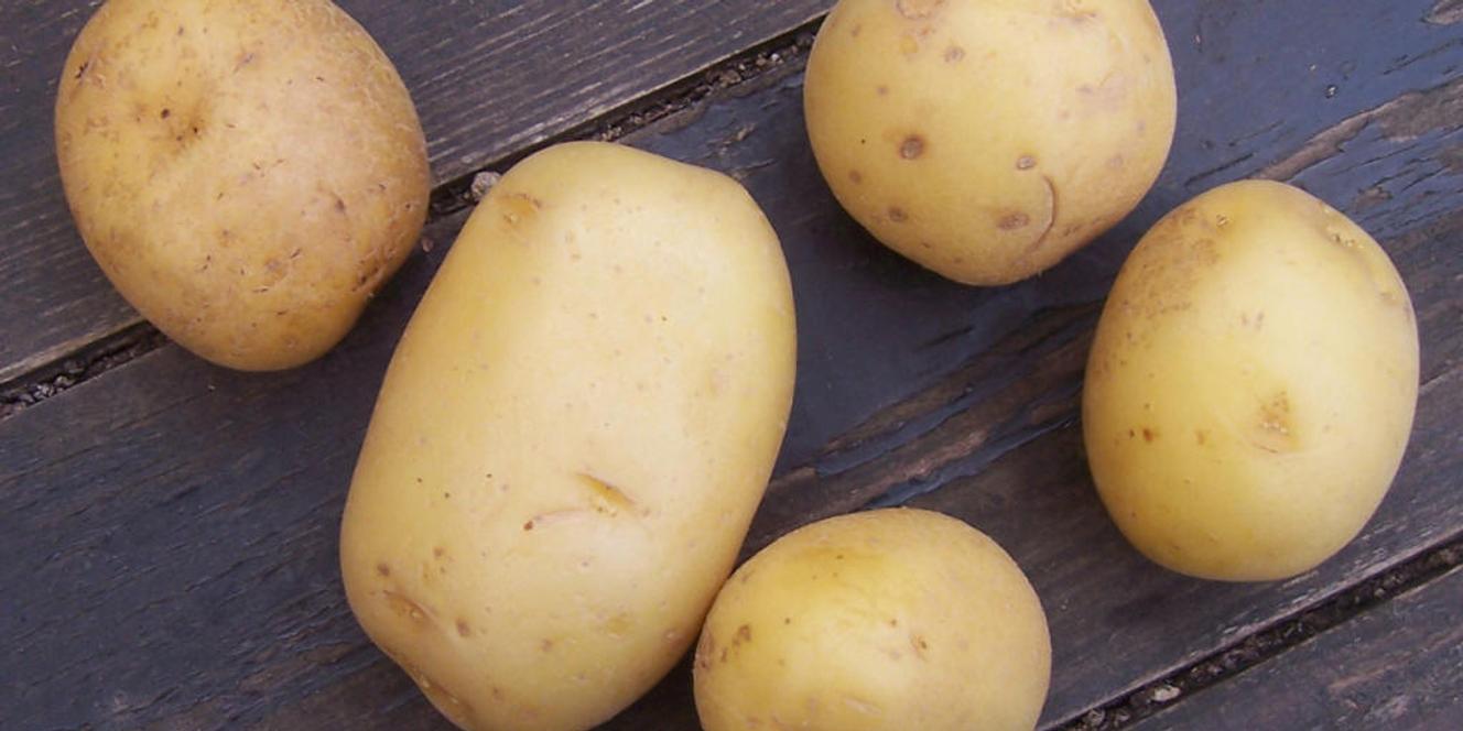 Consortium De Recherche Sur La Pomme De Terre Du Québec
