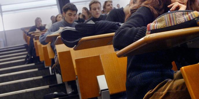 Les Etudiants Etrangers Constituent 41 Des Doctorants En France