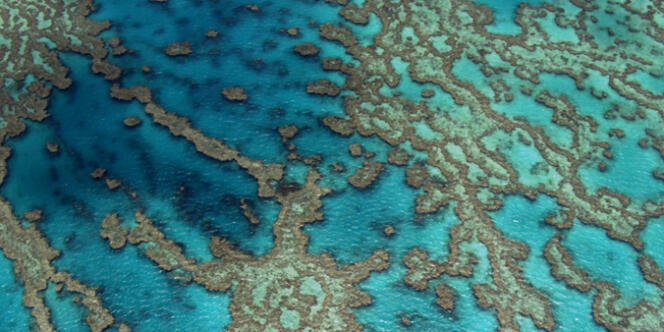 Vue de la barrière de corail, en Australie.