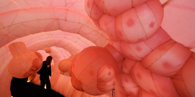 Une visiteuse marche à l'intérieur ce qui est considéré comme le plus grand modèle de l'Europe d'un intestin monté dans la ville de Dresde : l'installation a été construite pour informer le public du fonctionnement de cet organe, des maladies intestinales et de la prévention de cancer.