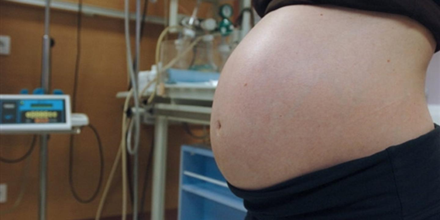 Passagers Clandestins In Utero Passagers Clandestins In Utero