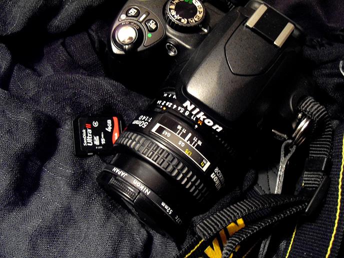 Prise De Vue Smartphone Ou Appareil Photo Numérique - 