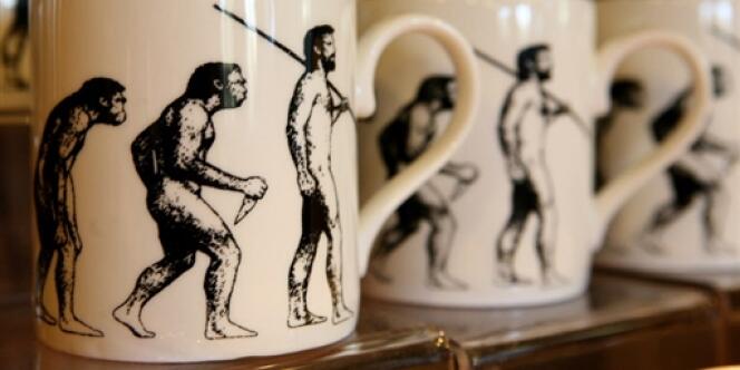Mugs vendus à Down House, la maison de Charles Darwin.