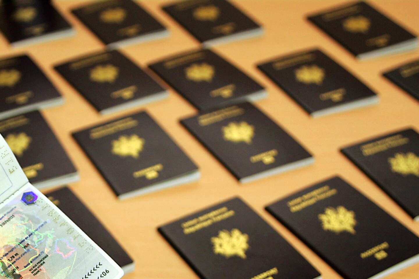 Livre d'or passeport pour la quatre-vingtaine