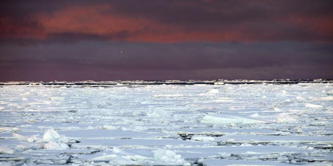 Photo du Groenland en 2008, fournie par Greenpeace.