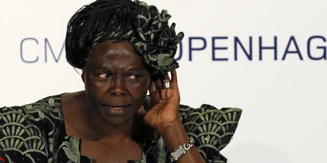 La Kényane Wangari Maathai, Prix Nobel de la paix, à Copenhague, le15 décembre 2009.