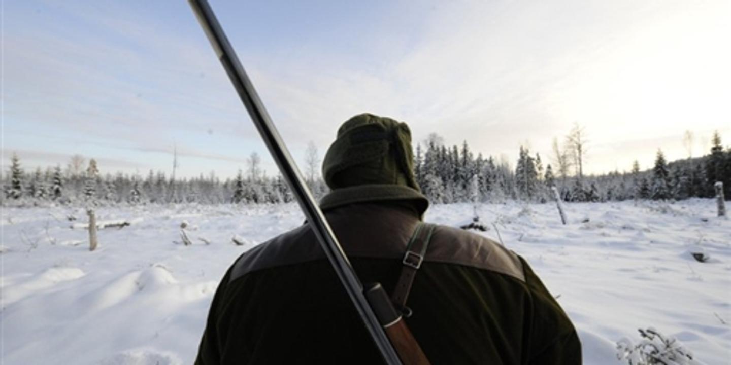 Chasse au loup video