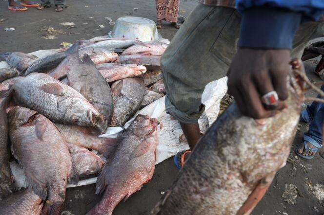 Les Philippines et la Papouasie-Nouvelle-Guinée ont reçu un « carton jaune » de la Commission européenne pour ne pas lutter contre la pêche illégale. 
