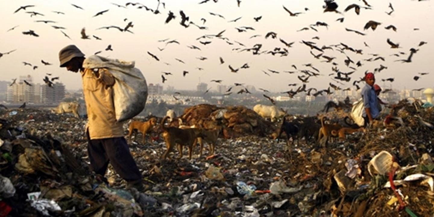 En Inde La Filière Du Recyclage échappe Encore à Tout Contrôle