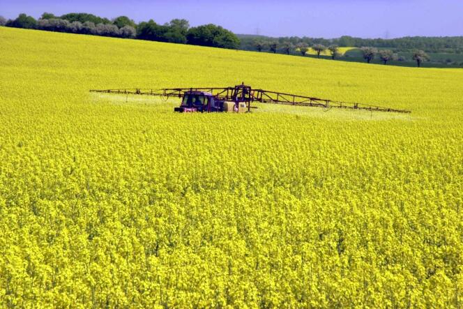 La baisse de moitié de l'usage des pesticides d'ici à 2018 faisait partie des principaux engagements du Grenelle de l'environnement.