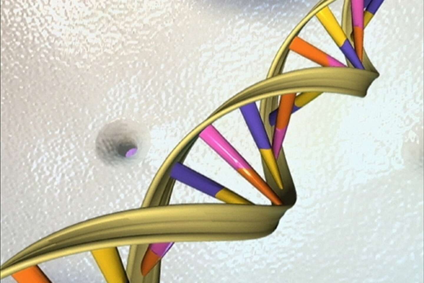 Etats-Unis : les tests génétiques innocentent un homme - Sciences