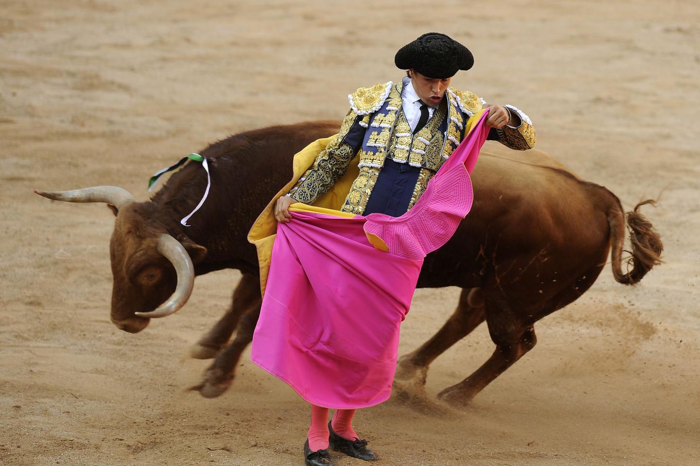 La corrida en France : une exception très culturelle