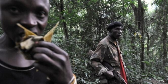 Des rebelles du FDLR près de Pinga, à 150 km au nord-ouest de Goma en RDC-Congo.