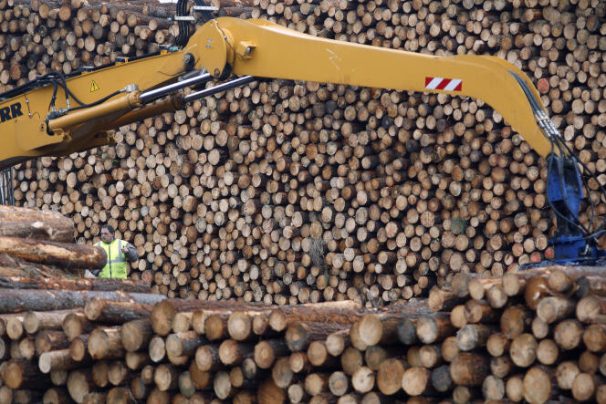Un rapport du Sénat dévoilé le 8 avril critique la politique forestière française et formule des recommandations pour tirer un meilleur parti économique de l'une des plus grandes forêts d'Europe.