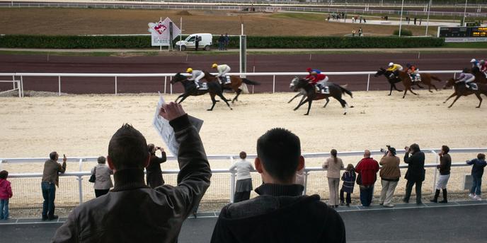 La Location De Chevaux Sur Internet Démocratise Laccès Au - 