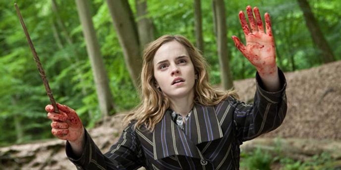 Harry Potter Et Les Reliques De La Mort 1re Partie La
