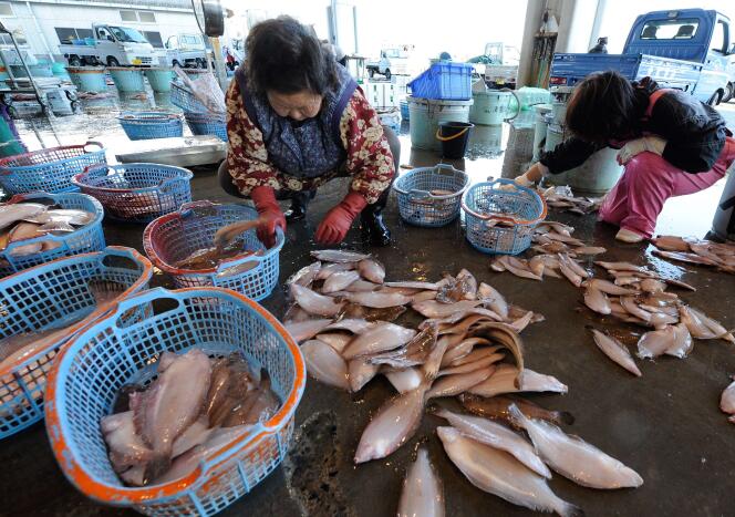 En avril 2011, des poissons capturés au large d'Ibaraki - à quelque 150 km au sud de Fukushima - avaient montré des taux de radioactivité légèrement supérieurs aux normes admises.