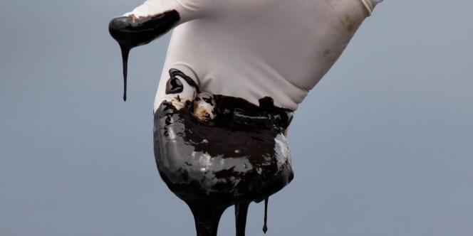 BP accuse l'EPA de l'avoir indûment exclu de l'attribution de contrats fédéraux après la marée noire de 2010 dans le Golfe du Mexique.