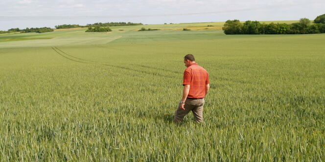 Nicolas Dufour, producteur de blé et d'orge à Champmotteux, dans l'Essonne, redoute une perte de production de 50 % s'il ne pleut pas d'ici juin.
