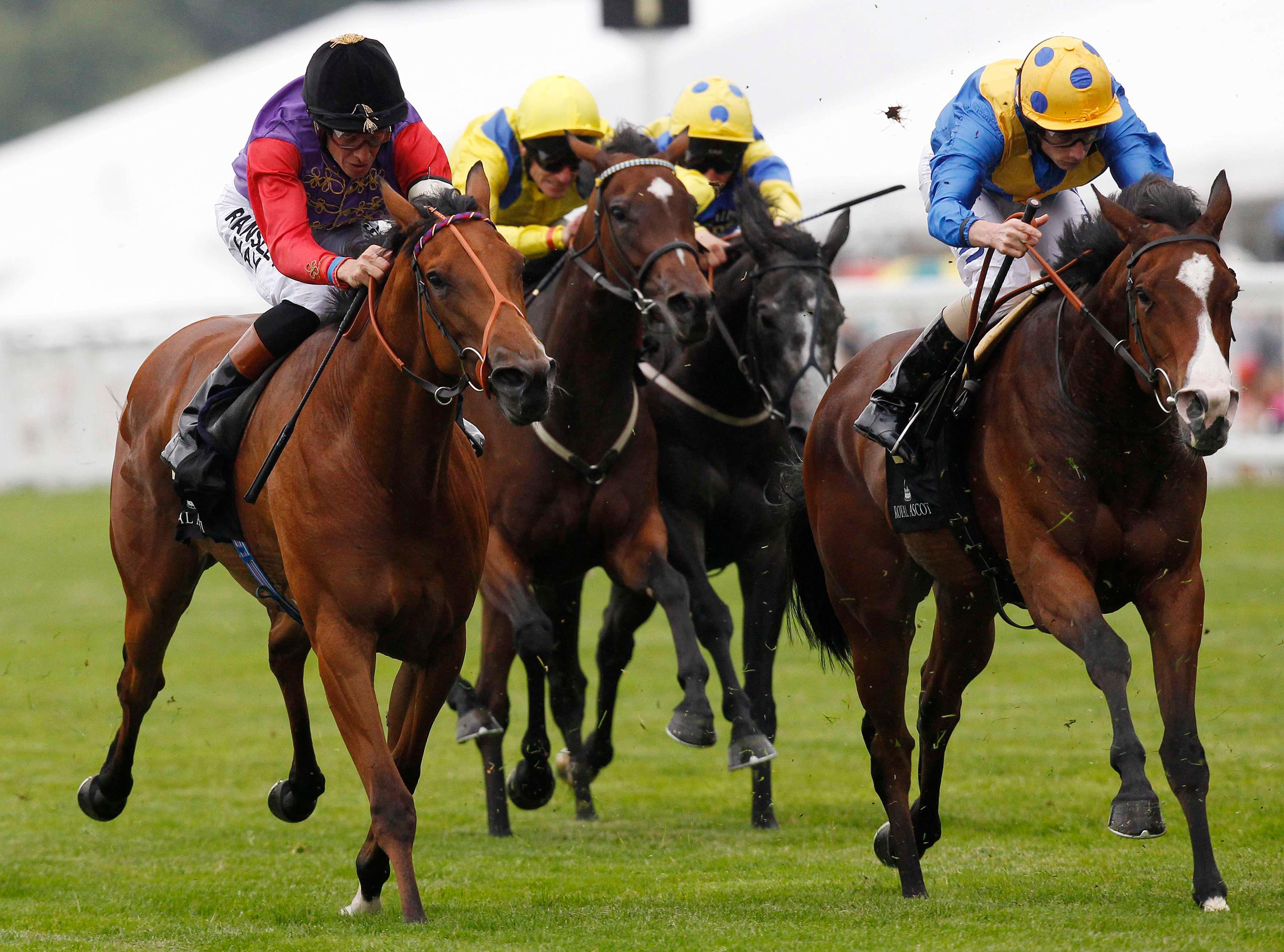 Les courses hippiques d'Ascot célèbrent 300 ans de prestige et d'élégance
