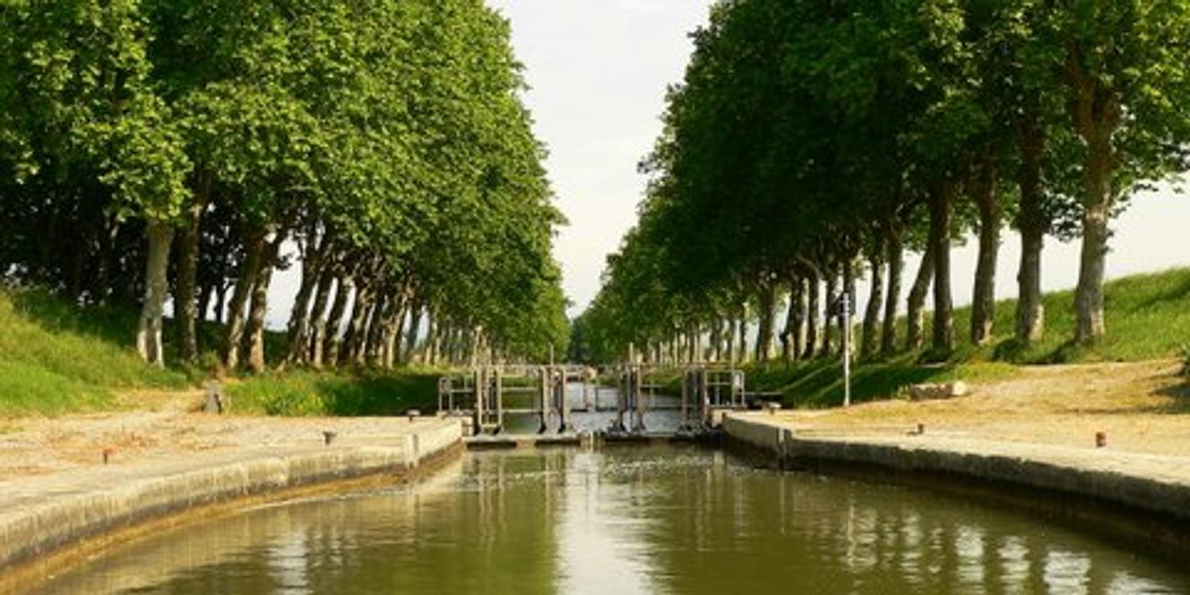 Les platanes du canal du Midi cherchent des mécènes — free download