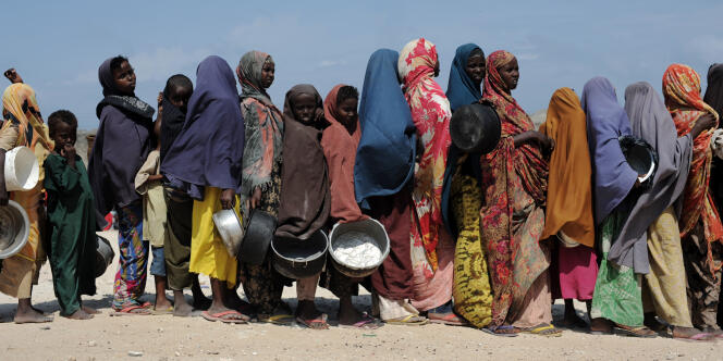 Le rapport recense 35 pays (dont 28 d'Afrique) ayant besoin d'une aide alimentaire d'urgence. 