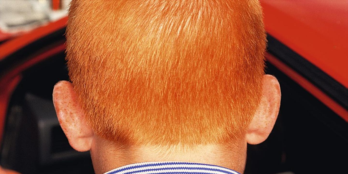Les Roux Vont Ils Disparaitre Les Roux Vont Ils Disparaitre