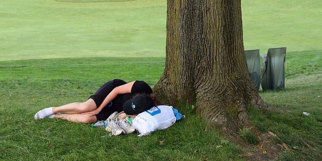 Un dormeur au pied d'un arbre dans le New Jersey.