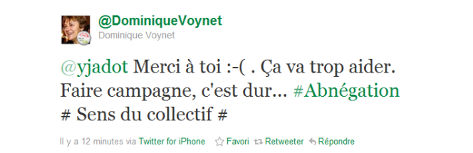 Dominique Voynet réagit à la démission de M. Jadot sur Twitter (capture d'écran)