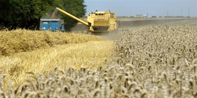 Le recours aux pesticides a baissé de 6 % entre 2011 et 2012 en France. 