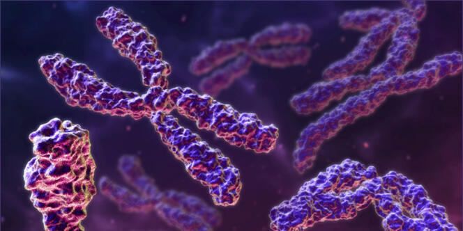 Des chromosomes.