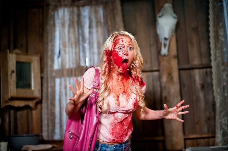 Tucker Et Dale Fightent Le Mal Netflix Cinéma : les sorties du 1er février 2012