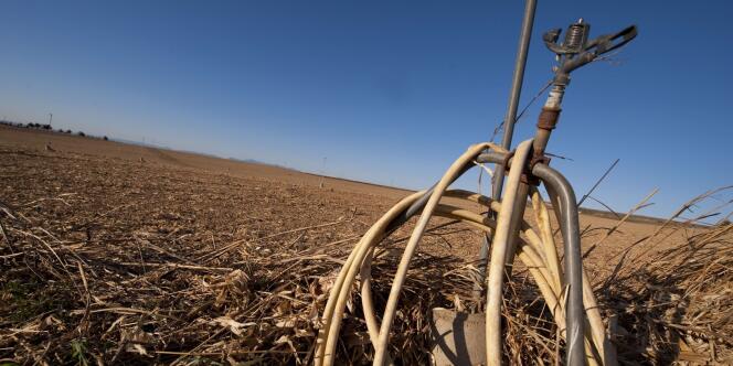 En Aragon, en Espagne, une alerte sécheresse a été déclenchée. Le pays a connu son hiver le plus sec depuis 50 ans.