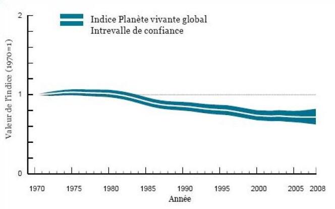 La biodiversité a chuté de 28 % entre 1970 et 2008, selon le WWF.